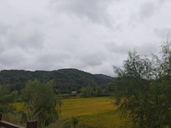 -南泥湾风景区