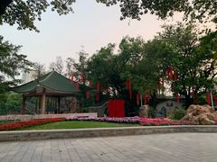 -荔湾湖公园
