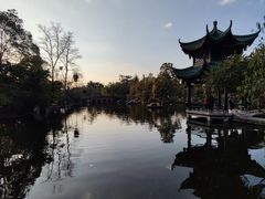 -桂湖森林公园