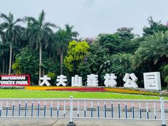 -番禺大夫山森林公园