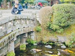 -水前寺成趣园