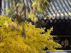 -红螺寺