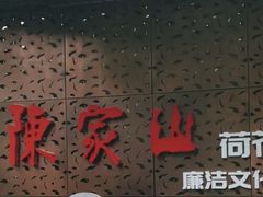 -陈家山荷花公园