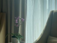 -珠海中海雅高铂尔曼酒店