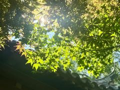 -常熟方塔园