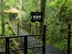 -呀诺达热带雨林