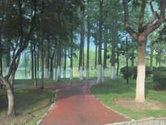 -安徽大学(磬苑校区)