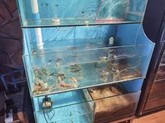 水产区-Thai Basil罗勒叶泰式餐厅(时代天街店)