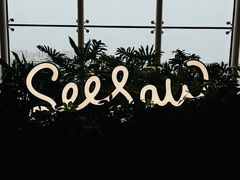 -Seesaw Coffee(朝阳大悦城店)