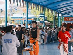 -海合安武汉极地海洋公园