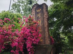 -四川博物院