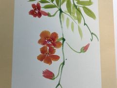 -学知乐教育·幼小衔接·小学科辅导(嘉定镇校区)