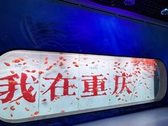 -重庆欢乐海底世界