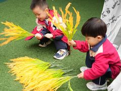 -金豆子幼稚园