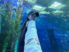 -波塞冬旅游度假区