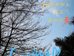 -厦门国际会议中心酒店(环岛路酒店)