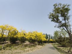 -东郊湿地公园
