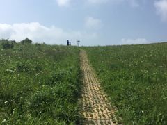 -白草畔自然风景区