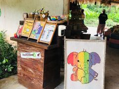 -大象粑粑造纸公园