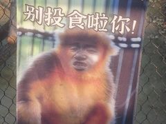 -武汉动物园