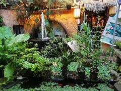 -园林美食城·本土农家菜(杨和镇店)