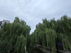 -元大都城垣遗址公园