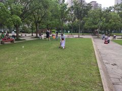 -新江湾城公园