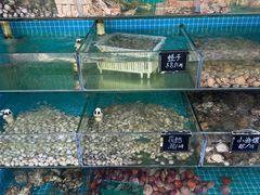 -北戴河庆山饭店·海鲜砂锅粥(北戴河黑石路店)