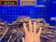 -協成海鮮火鍋(老店)