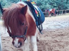 -太阳岛度假酒店