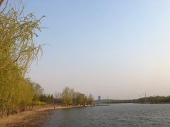 -永定河休闲森林公园