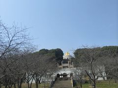 -苏州上方山国家森林公园
