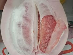 -聂荣臻元帅陈列馆