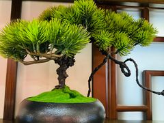 -梁溪河畔·吉府花园(南长街南下塘店)