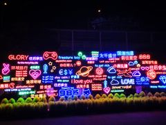 -锦江乐园舞狸花花游园会(夜场专享)