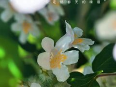 -老君堂公园