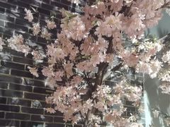 -野妹经典火锅(江夏中百店)