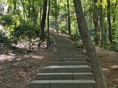 -九曜山