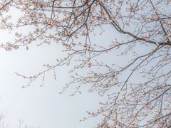 -东南大学(九龙湖校区)