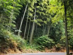 -藏龙百瀑风景区