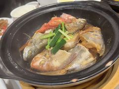 -欢乐海岸美食联盟