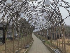 -武汉紫薇都市田园