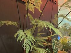 -芸山季·云南山珍菌火锅(人民广场来福士店)