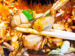 -老佛爷蛙锅•鲜蛙煲(麦凯乐店)