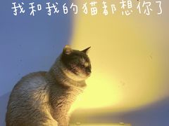 -极木²邸 人与宠物·互动社区