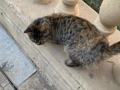 -众品老方子锅贴甜沫(李村店)