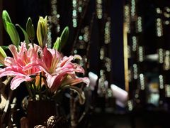 -都氏家DUSJOY(翡翠城店)
