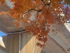 -麻辣总动员·川派海鲜·现炒浇头面·自贡菜(五彩城店)