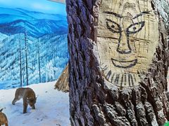 -呼伦贝尔民族博物馆