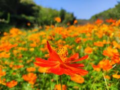 -宁波浙东大竹海景区